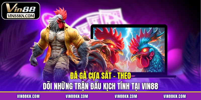 Đá gà cựa sắt