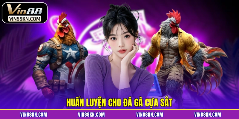 Huấn luyện cho đá gà cựa sắt