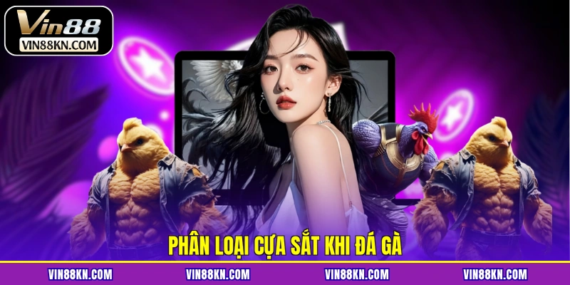 Phân loại cựa sắt khi đá gà
