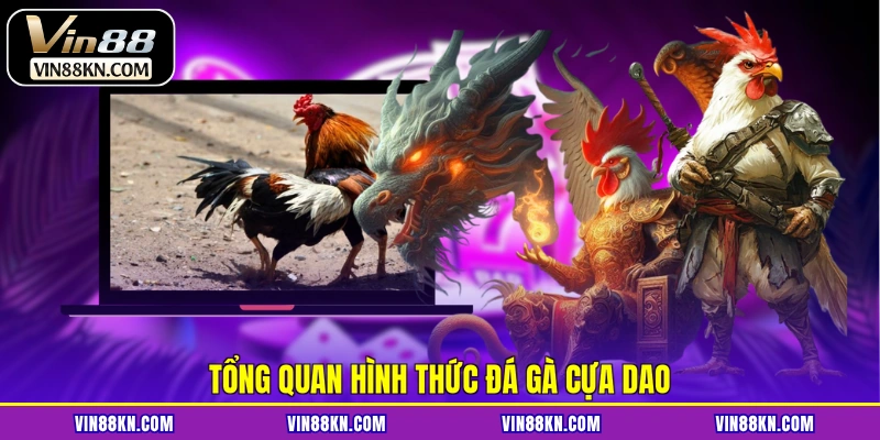 Tổng quan hình thức đá gà cựa dao