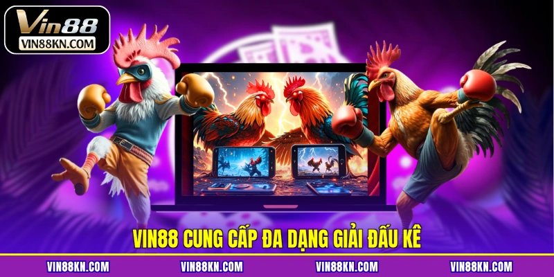 VIN88 cung cấp đa dạng giải đấu kê